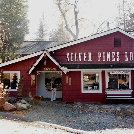 Silver Pines Lodge Idyllwild Eksteriør bilde