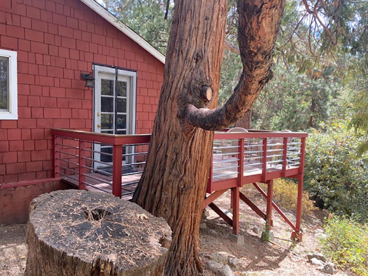 Silver Pines Lodge Idyllwild Eksteriør bilde