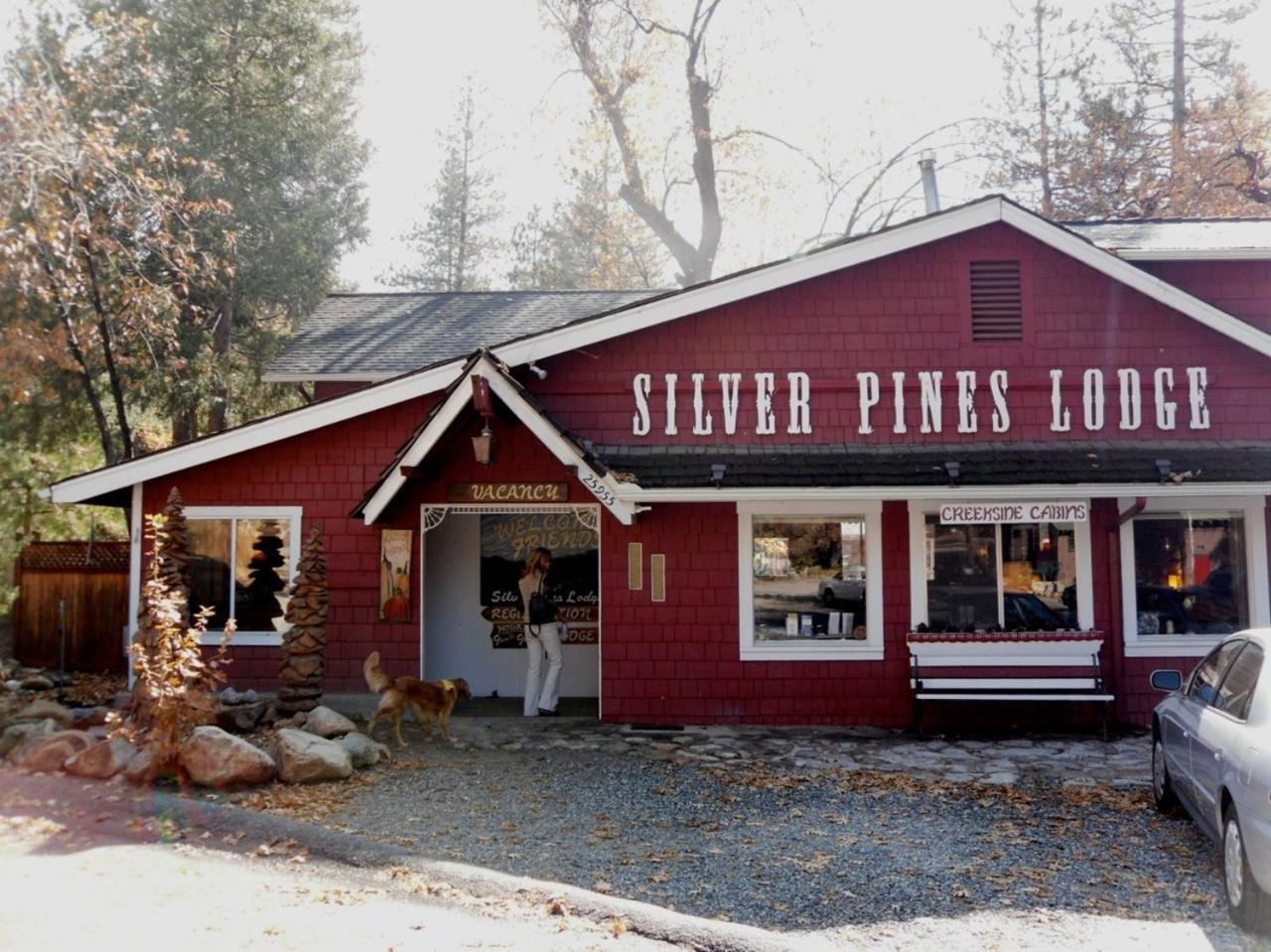 Silver Pines Lodge Idyllwild Eksteriør bilde