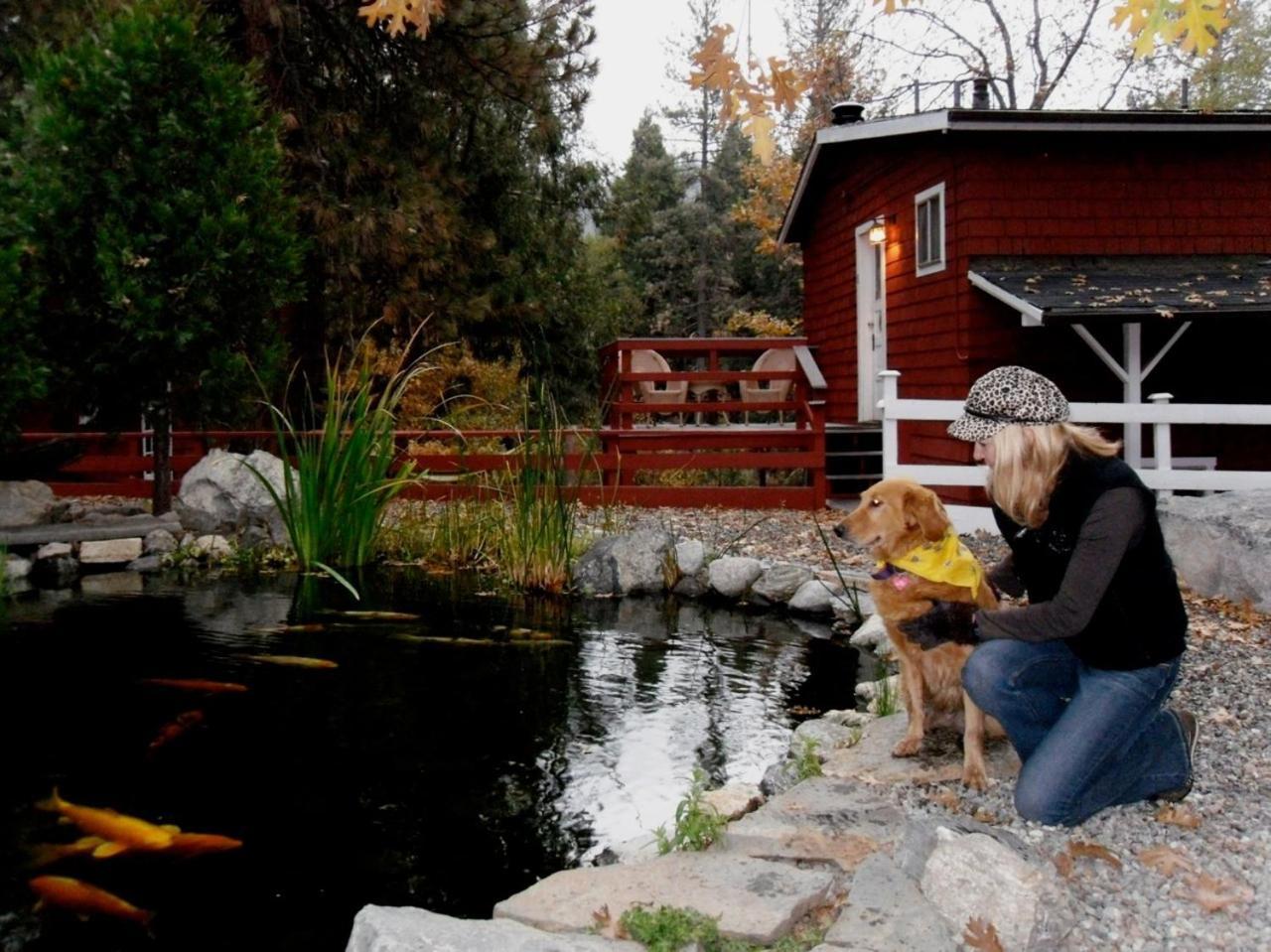 Silver Pines Lodge Idyllwild Eksteriør bilde